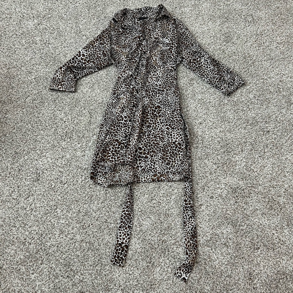 Cheetah Print Long Sleeve Dress
